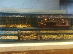 -冀粤香海鲜自助餐厅(西美五洲店)