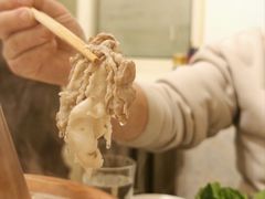 -八先生涮肉房(三里河店)