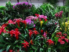 -三旗百汇商品城