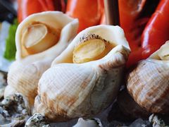 -Oyster Talks 四度蚝法餐厅
