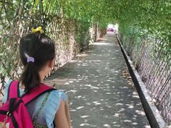 -红山村