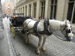 -布鲁塞尔大广场