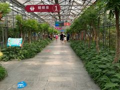 -南宫五洲植物乐园