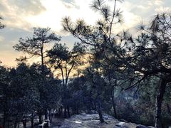 -南京市无想山景区