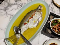 鸡汁蒸鲥鱼-杭州君悦酒店·湖滨28中餐厅
