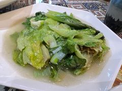 生菜-新疆伊宁远征餐厅