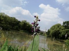 -昆山城市生态森林公园