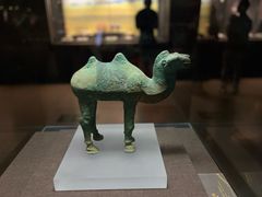 -甘肃省博物馆