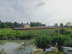 -天府芙蓉园