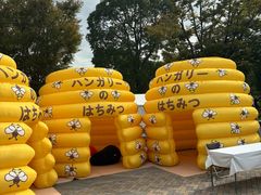-台场海滨公园船码头