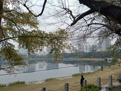 -南宁南湖公园