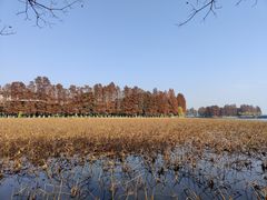 -东湖生态旅游风景区