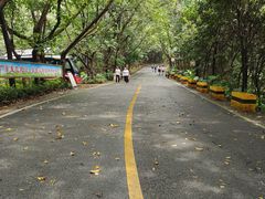 -大屏嶂森林公园