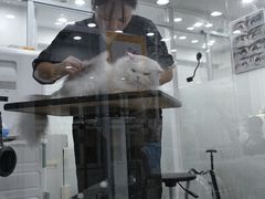 -爱洗澡的猫(天河路店)