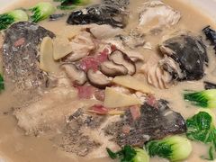 -聚丰园熊猫餐厅(紫金1912·玖爱谷店)