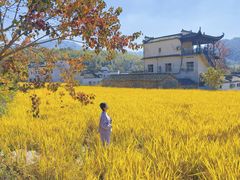 -塔川景区