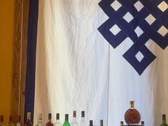 -松赞拉萨林卡酒店