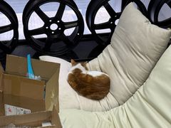 -上海傲铎汽车服务