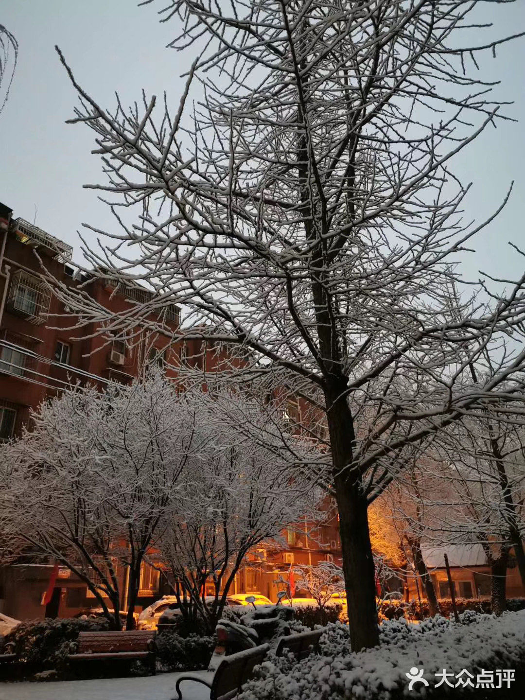 白雪却嫌春色晚，故穿庭树作飞花