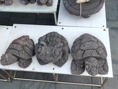 -龙头岩(Dragon Head Rock)