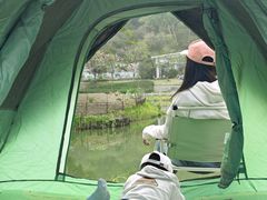 -王借岗森林公园
