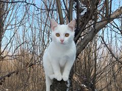 -棋盘山冰雪大世界