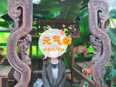 -呀路古热带植物园