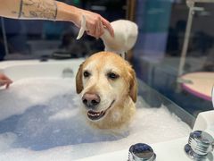 -FAELING PETS美天灵宠物(富力广场店)