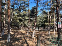 -帽儿山国家森林公园