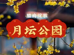 -月坛公园