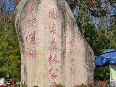 -合肥滨湖国家森林公园