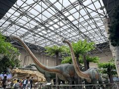 -国家自然博物馆