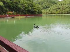 -广州白江湖森林公园