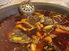 -安吉美渝石锅鱼(芜园西路店)