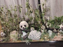 -将军府·鸡毛店(武侯祠店)