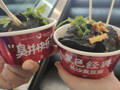 -黑色经典臭豆腐·湖南特产(坡子街店)