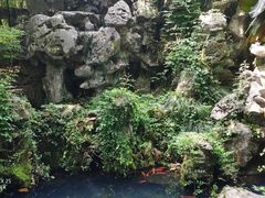 -西湖外事游船(花港观鱼码头)