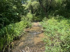 -白水寺森林公园