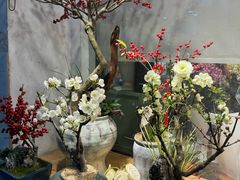 -双季花艺园艺市场(浦东店)
