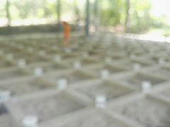 -北京周口店北京人遗址博物馆