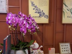 -LANN I 蘭·泰式古法按摩(高岛屋百货店)