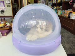 -宠爱国际动物医院· 猫科· 外科·中兽医(长白店)