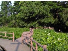 -成都市活水公园