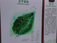 -羚羊峡古栈道森林公园