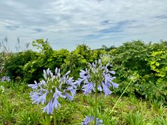 -浙江安吉JW万豪酒店·万豪中餐厅