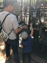 -萌宠亲子动物乐园(槐房万达店)