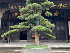 -宝光寺