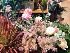 -舌尖上的食缘花园主题餐厅