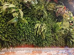 -味之绝热血美蛙鱼火锅(中坝店)