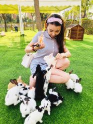 -萌宠亲子动物乐园(槐房万达店)